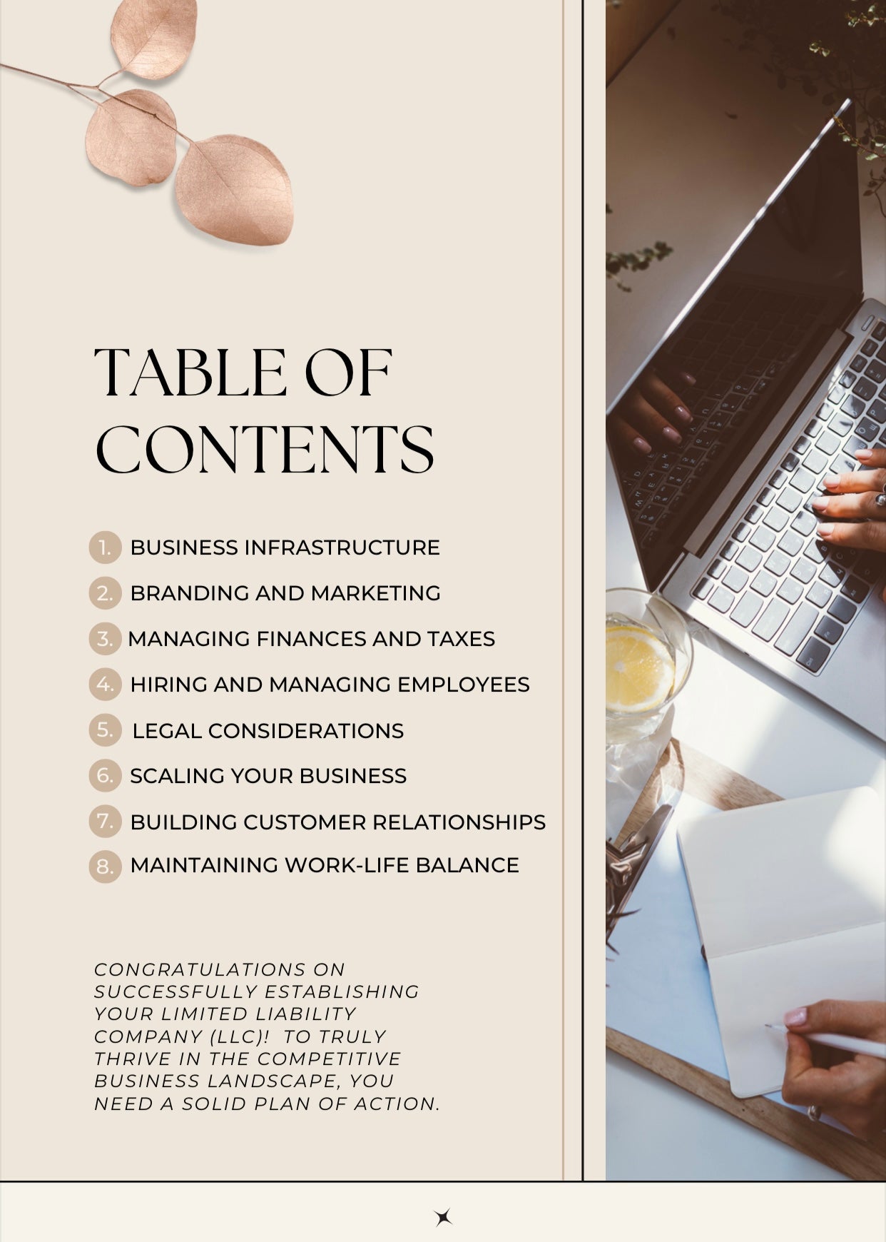 A Comprehensive Guide to Thriving After Establishing Your LLC